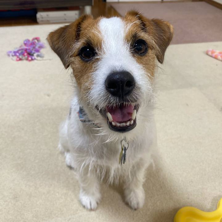 C3c7dafd 5bcd 4c5c 920e 3154779754cc 1747917764608