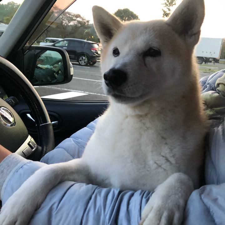 C3c80f3e bd53 43c8 8cf4 f65623976cd2 1575498931762