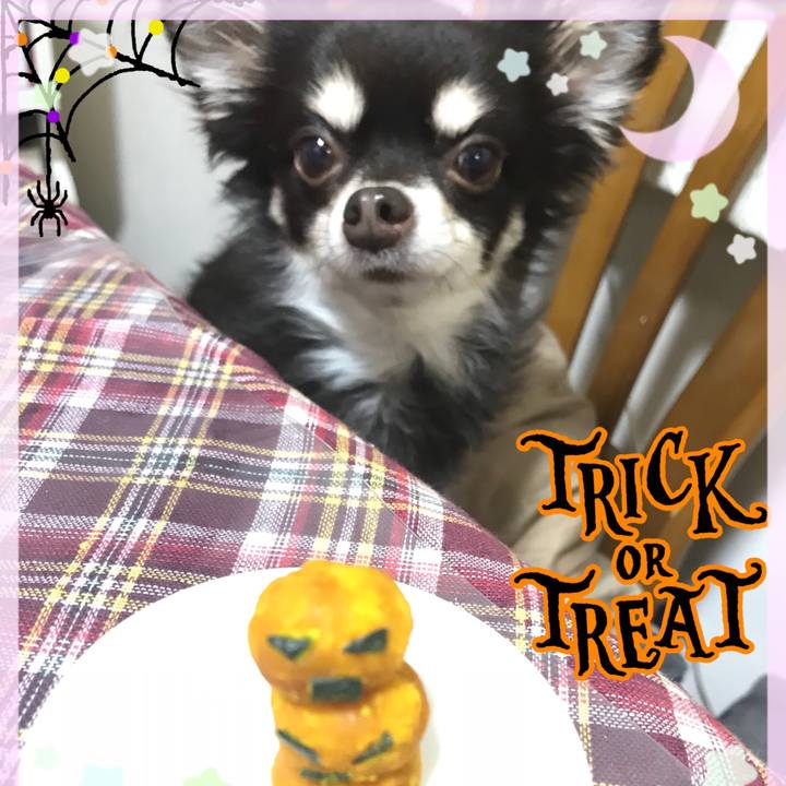 C3c82445 2f1d 461e 87fb 7bce7955a567 1509443387226