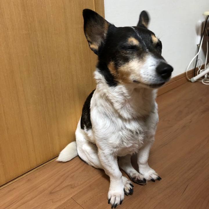 C3c82735 70e0 44e0 a4fc cd6ef58561a2 1555743959846