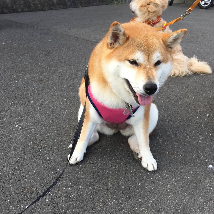 C3c82937 22b1 4c3f 9cd3 c4d55ff089f6 1534466743244