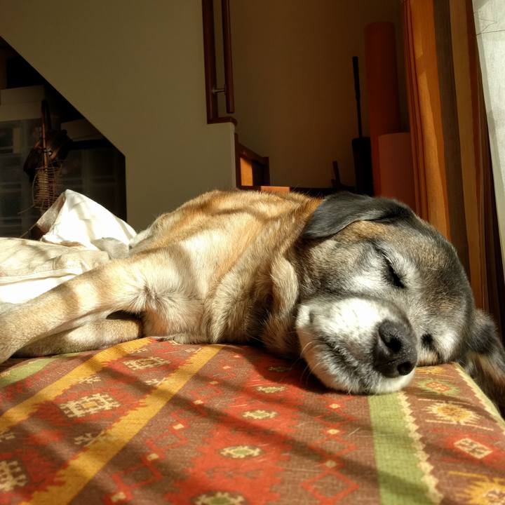 C3c83c63 3540 40c1 8da2 6391a178ba8f 1518497507798