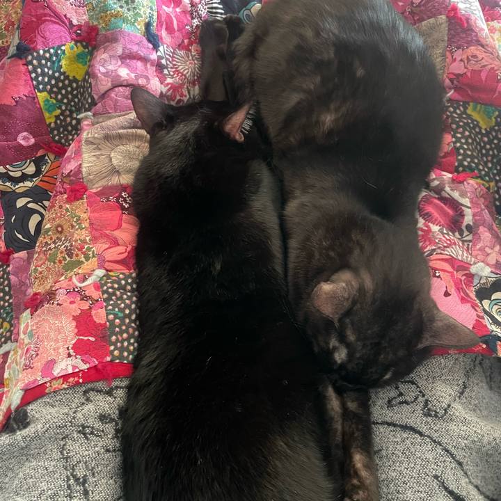 C3c84059 5ede 4ae4 add2 d9c698c71b22 1771121280488