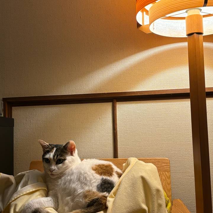 C3c87295 3685 4ef2 9bae 1effd2550155 1730683909328