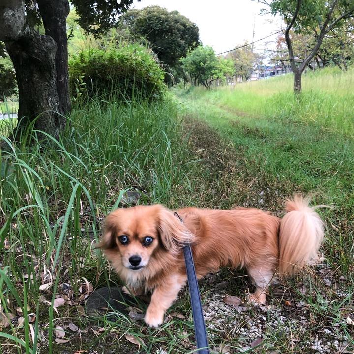 C3c87584 fa5c 4d80 a2c2 9e6316556a3d 1570053892723