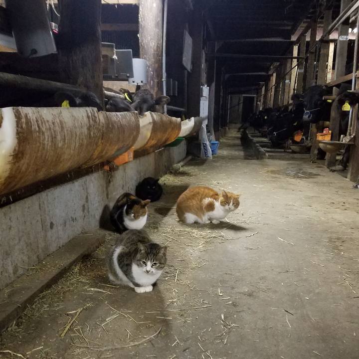 C3c88d66 a686 4265 99b6 9b8fe9c77dc0 1547502607984