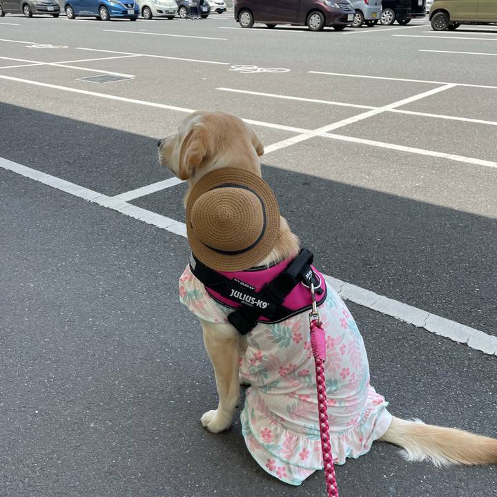 C3c8d77b 451a 4f8c bb61 b097343869e5 1624340720004