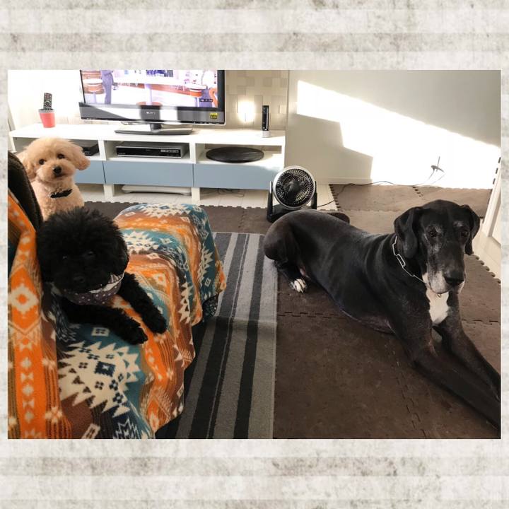 C3c8dd63 04be 48ed a19e b2652f621d11 1540851792409