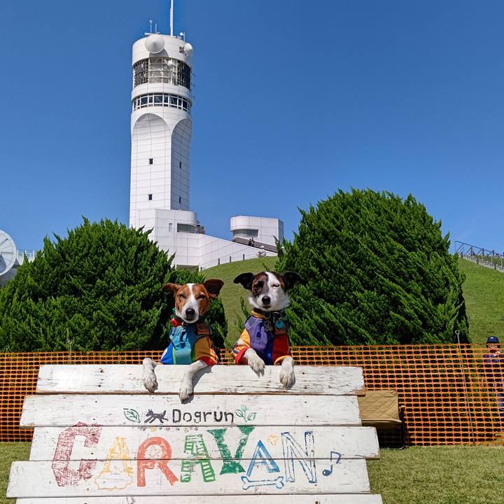 C3c93df6 8304 4f13 aac6 f3ed645a572b 1715436230472