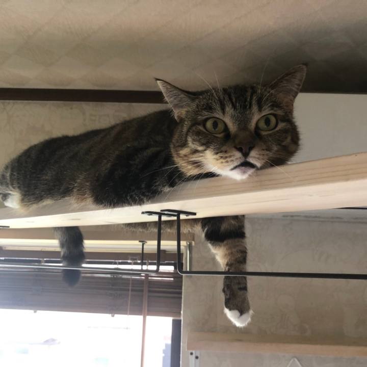 C3c9564f 5440 419e 87a9 6aa443ddcf4e 1595812368980