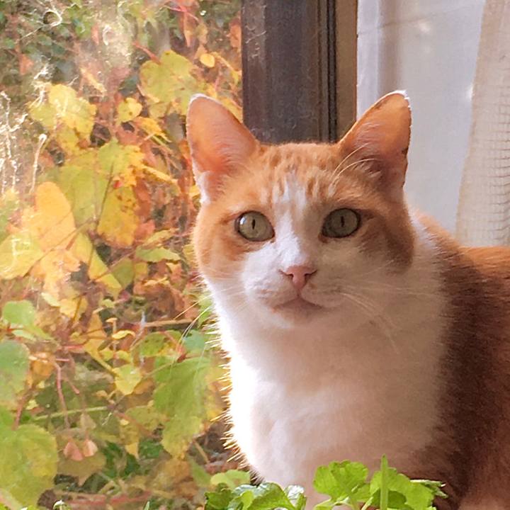 C3c9a318 99e6 496f 80c1 51016ea7e4b8 1604646374913