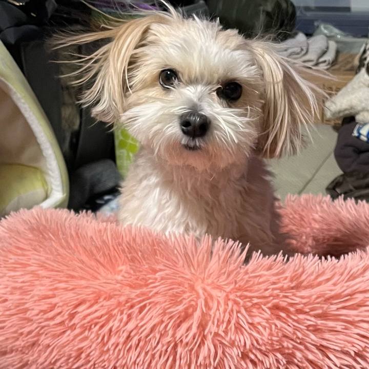 C3c9a502 f323 450d a428 44371cbf9137 1771580724329