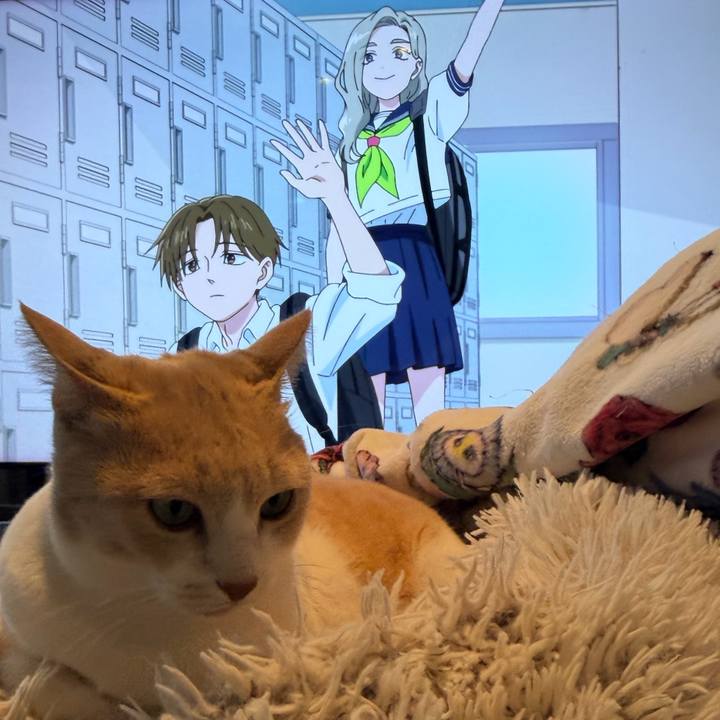 C3c9b5e2 65cd 457d 8f8b 9ae8aa45061e 1769848648004