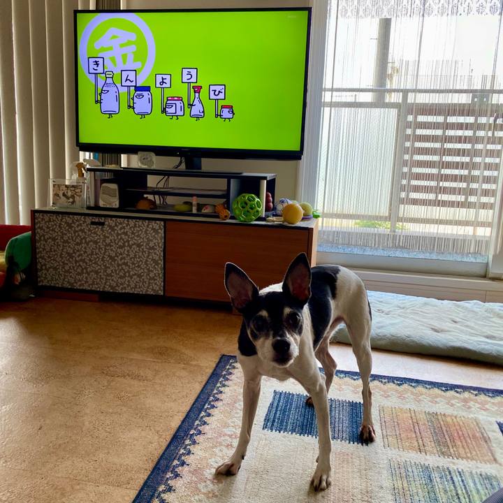 C3c9bb5d 908b 4fa0 b8e4 f2ddf0fd62c2 1597964348898