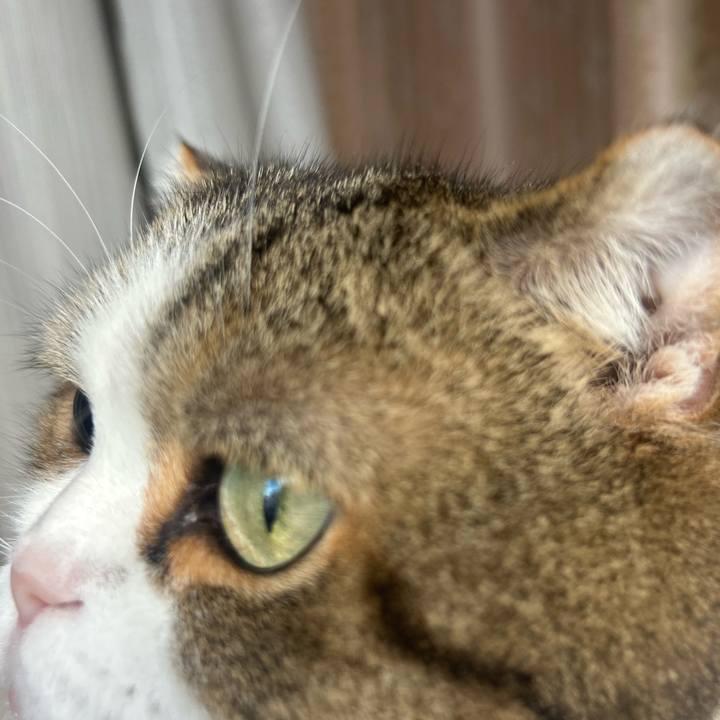 C3ca3849 1970 47eb 95ba e4798ff81425 1760308308662