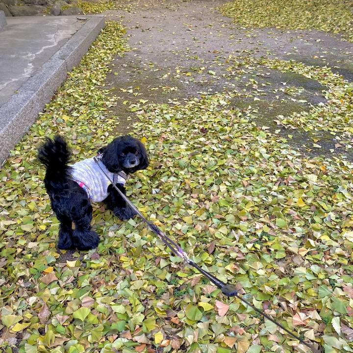 C3ca3c60 1921 4fa2 87da afe8e0e317ca 1700871928279