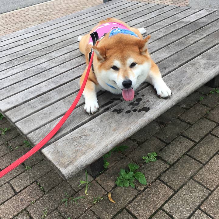 C3ca420e 5f89 42ba 9afe fa0bafa408e6 1595821690157