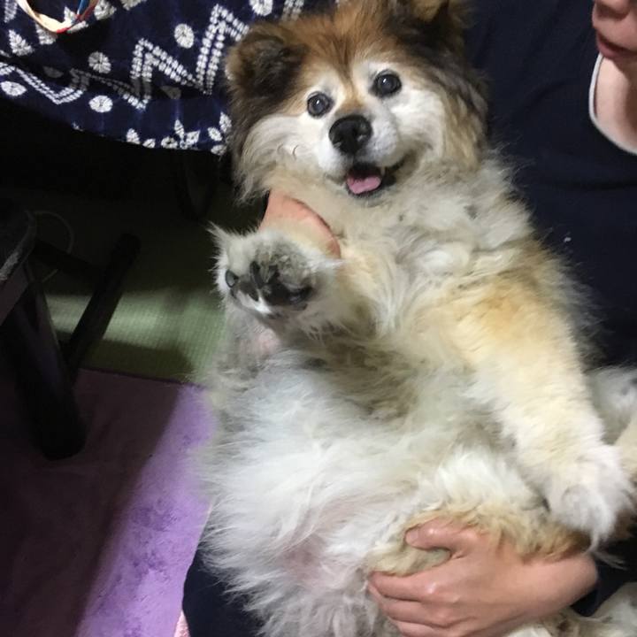 C3ca8146 ceaf 496e b608 7b0c461f5812 1556706604085