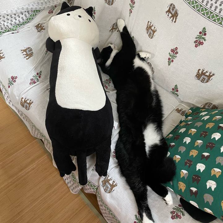 C3ca829c 3100 436d 82f5 131d690688fd 1661920639435