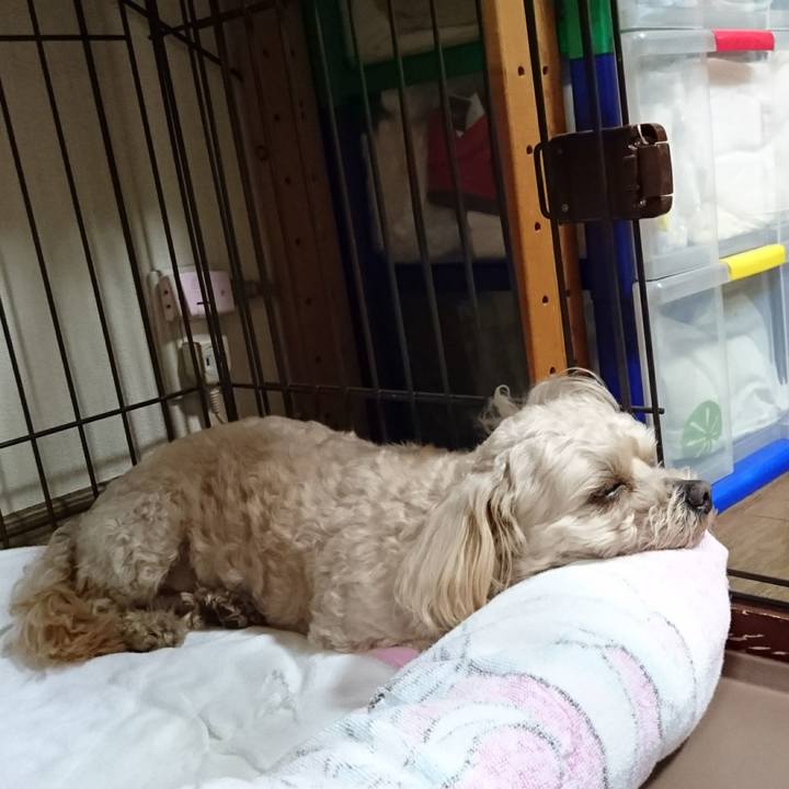 C3ca974b 0729 4e64 87ba 066fcc024b8f 1588678888051