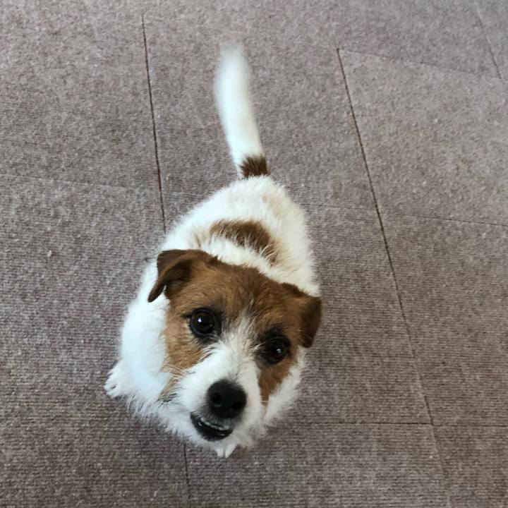 C3ca9c68 825f 4058 9e88 d67c8fbeabe5 1538952519501