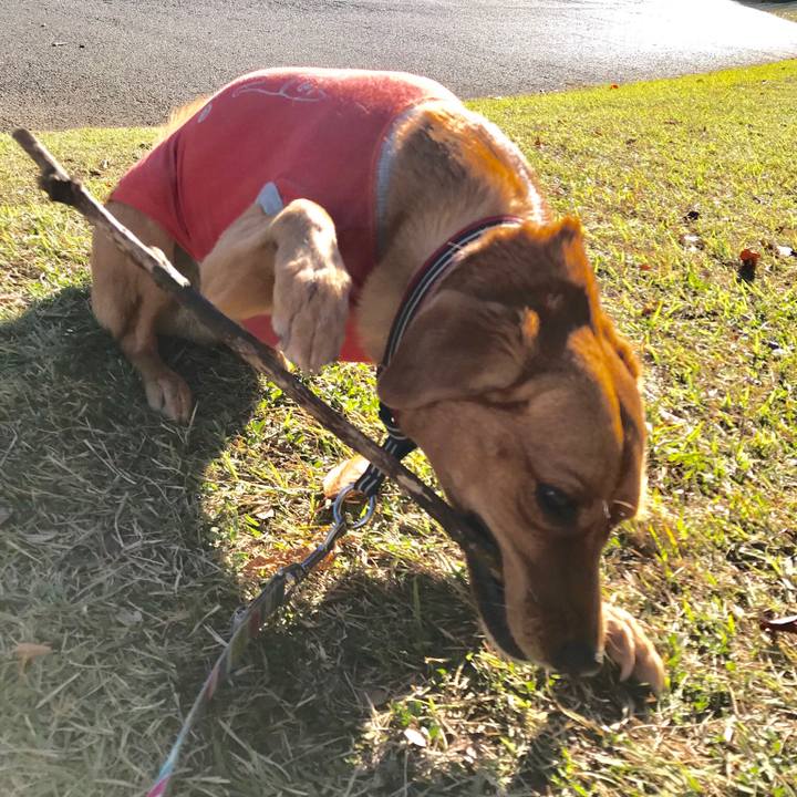 C3cab21e 22d6 48c0 a6f1 ada4596a1439 1542285244457