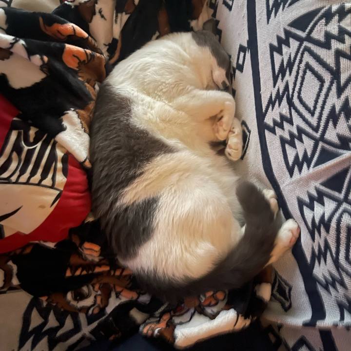 C3cab8d2 2035 4530 95b8 872bb3dc5b19 1732866772129