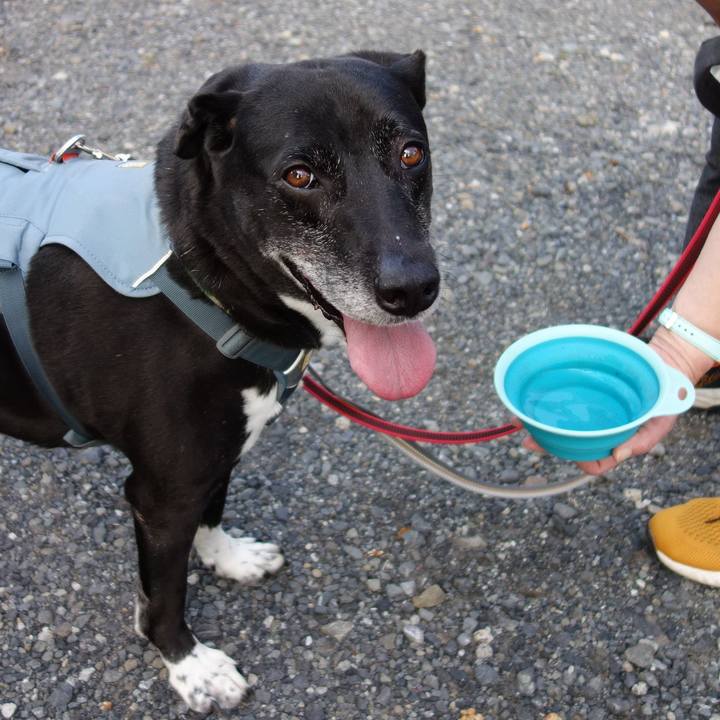 C3cabf51 1ad5 4b59 a0b2 a997e28dfe2f 1717031459197