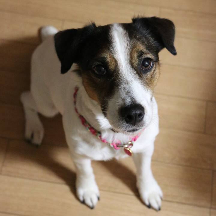 C3cad143 72b7 48a8 aebc 64b2a7ecbc8d 1514015239526