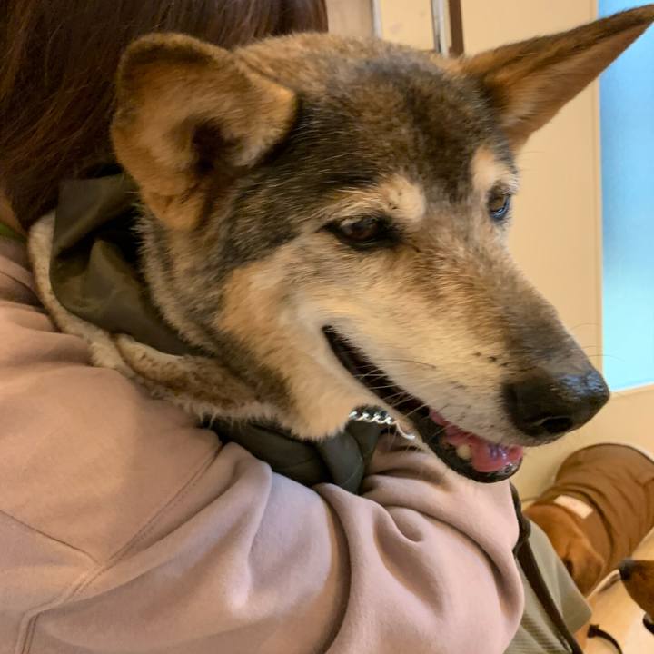 C3cae0ce 2742 413b 9fbd abddc1baf2b4 1580293986624