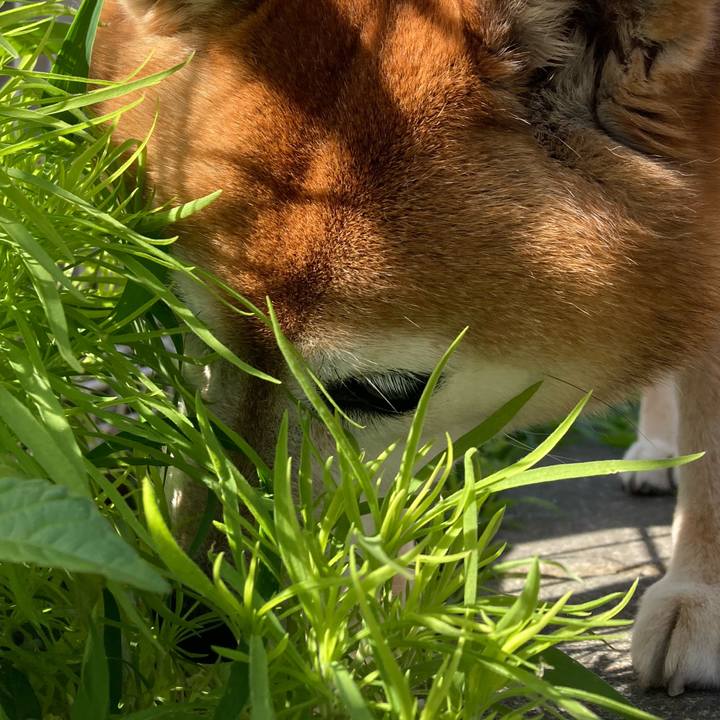 C3caf6fc 9dd5 4414 895b 08371407410e 1715989794948