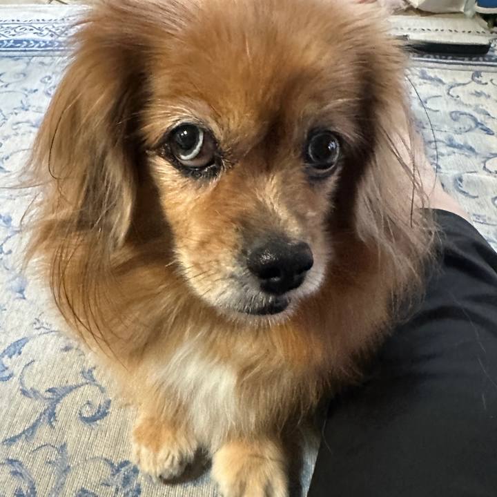 C3cb038b 92b9 436c 8988 9aee9fafa7c7 1759442250456