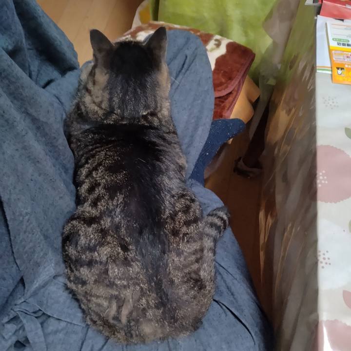 C3cb1c97 3ab5 471b b16b 3a77396fe5c4 1664497565062