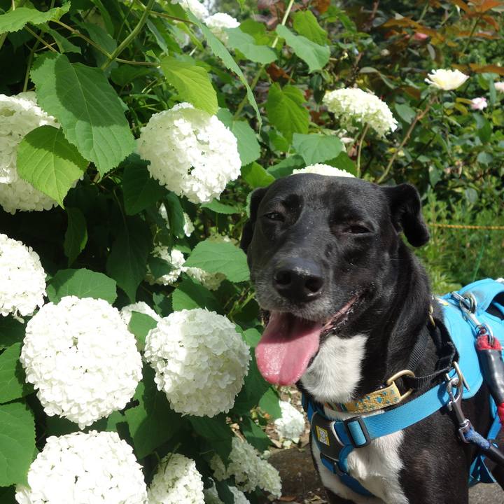 C3cb266f c259 4b09 bfe3 fa98858afe08 1623458018492