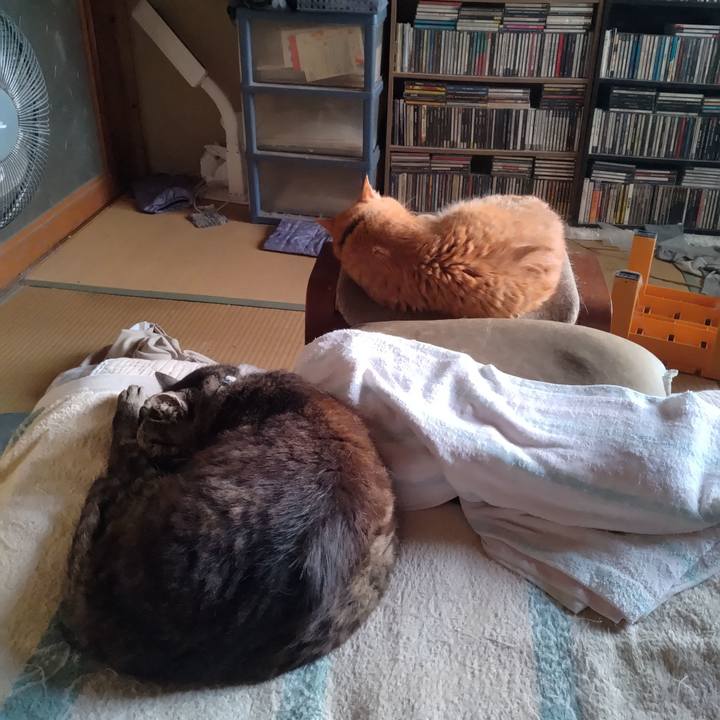 C3cb2dce 2d3a 46e4 9d7f 0791b2bda0b0 1752789669445