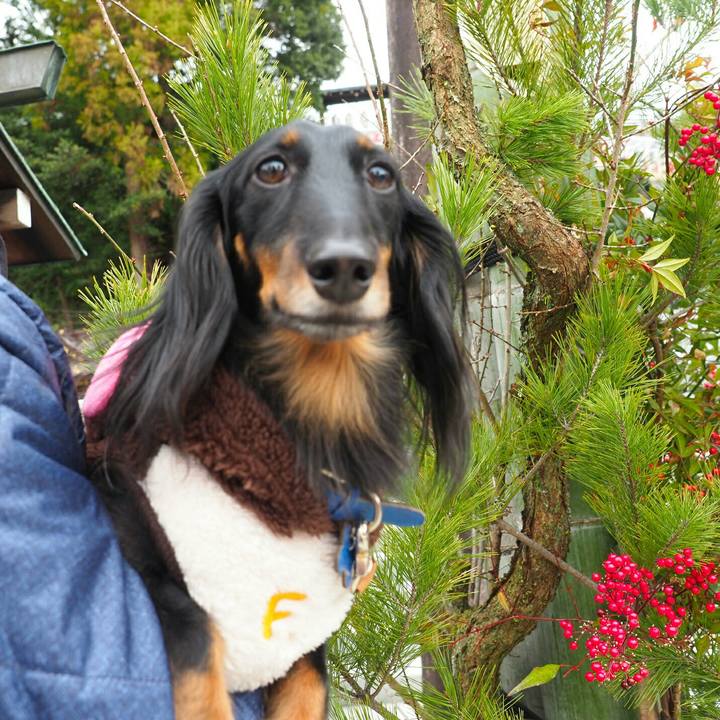 C3cb4acf 5538 4ce2 8183 9c5390e59a79 1577857284895