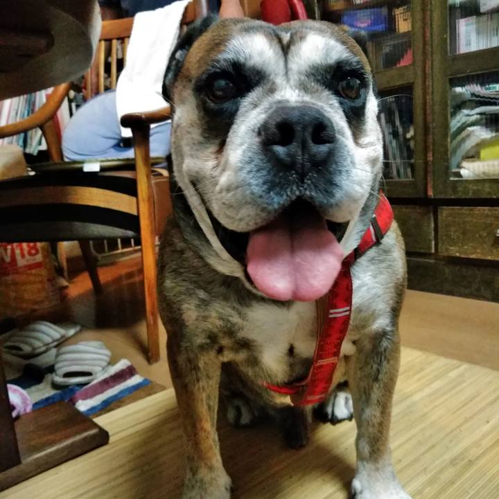 C3cb5d55 2416 49d9 9163 47dea2863881 1532381001831