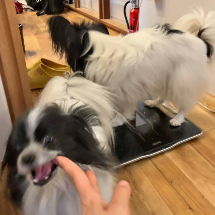 C3cb8557 b499 409f baf1 000333480b4d 1555975075849