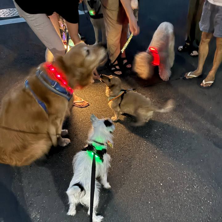 C3cbc9ff 1a55 45d5 8e4a a3fc16fe58d4 1758100930011