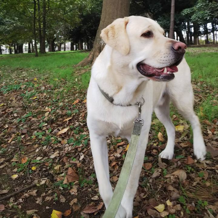 C3cc2d6e 2cb4 439b 93d4 72d0cd448114 1541302622535