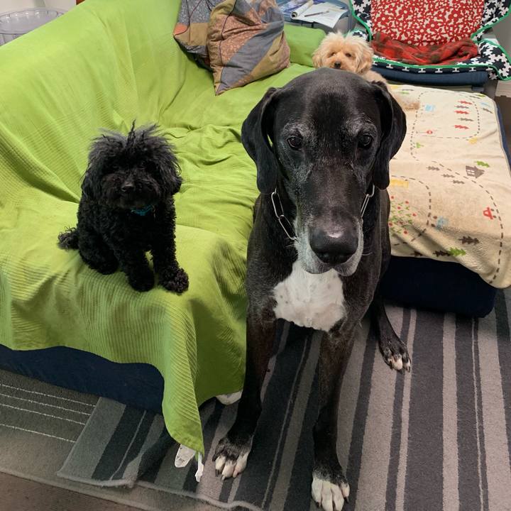 C3cc361c 75cc 4a27 bfb7 0c066bd05f50 1560205384704