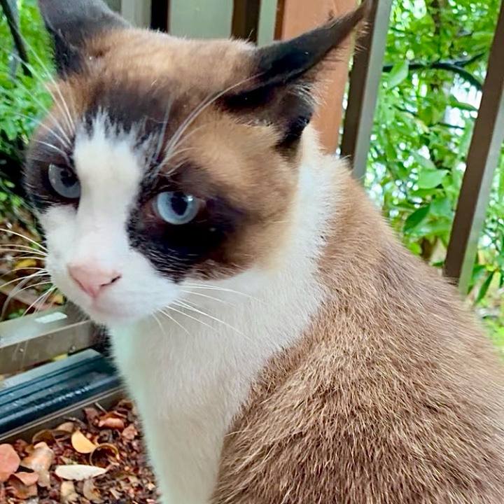 C3cc559f 5432 4210 80a6 58a5bffe5f7a 1749523442370