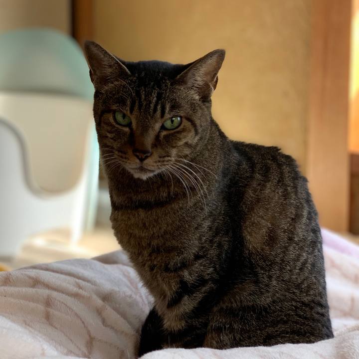 C3cc55c0 9a9f 4341 93d1 ccad824829d2 1577064594119