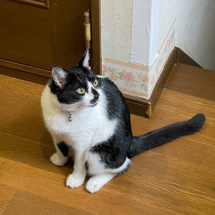 C3cc769e bff5 4c52 a3a0 2494d1a80685 1755557720605