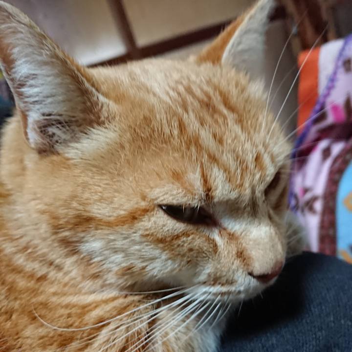 C3cc8577 c6b7 48f0 a3ff 378f1badb79e 1585520851985