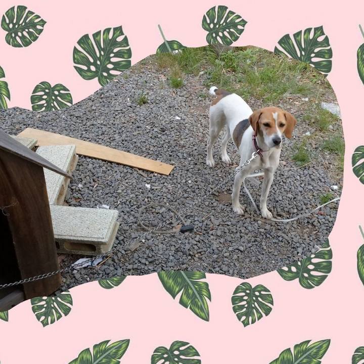 C3ccaa5b 2d6c 4df3 97c4 be03350eb576 1590396704894