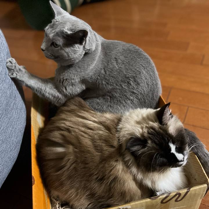 C3ccb7b9 7235 451f 843c 8b165dce3ac9 1736999970452