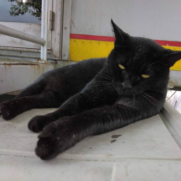 C3ccba66 ef4a 4c6a 833e 36c5bb83078a 1664274427950