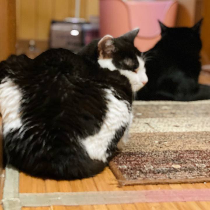 C3ccf328 54ce 4410 8f5c 98508654eb8b 1628477718711