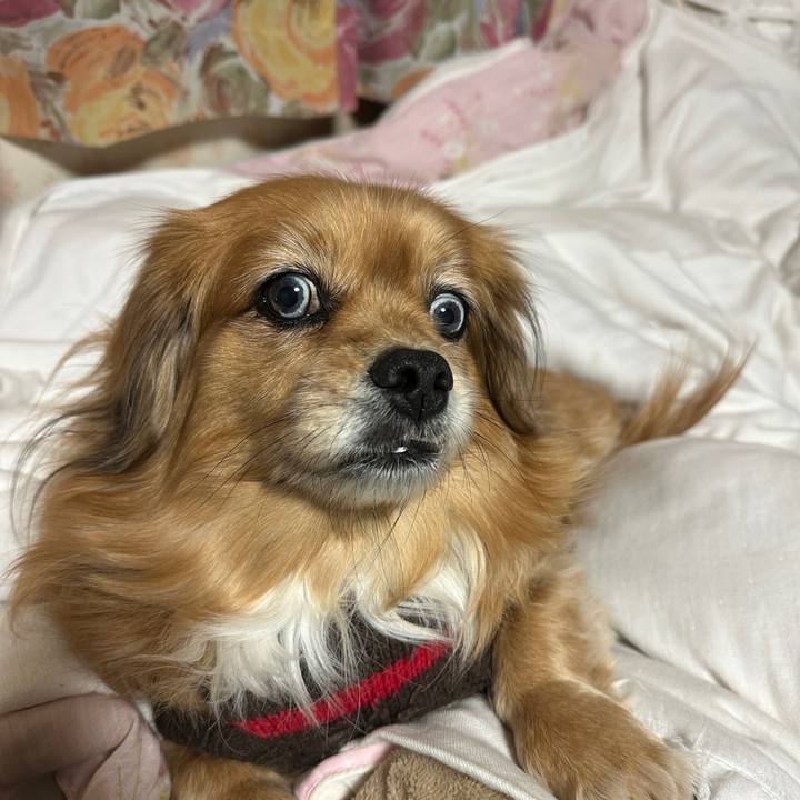 C3ccfb65 9431 4ea0 908b 0cbab7cbcbd5 1737323456102